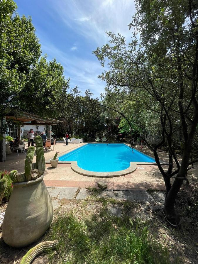 Loft Mansardato Con Giardino E Piscina In Villa Privata Loft With Garden And Swimming Pool In A Private Villa Sestu Buitenkant foto